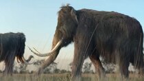Eons - Episode 16 - How To Build A Woolly Mammoth (But Should We?)