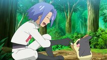 Pocket Monsters - Episode 70 - Take My Thief! Please!