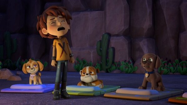 paw patrol pups stop the cheetah dailymotion