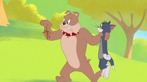 Tom and Jerry in New York - Episode 6 - Doggie Championship