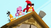 Angry Birds: Summer Madness - Episode 1 - Cabin Raid!