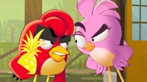 Angry Birds: Summer Madness - Episode 13 - The Golden Pineapple