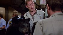 Hill Street Blues - Episode 23 - Grin and Bear It