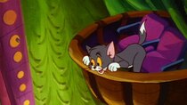 The Tom and Jerry Comedy Show - Episode 9 - Cat in the Fiddle