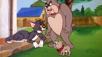 The Tom and Jerry Comedy Show - Episode 6 - The Puppy Sitter