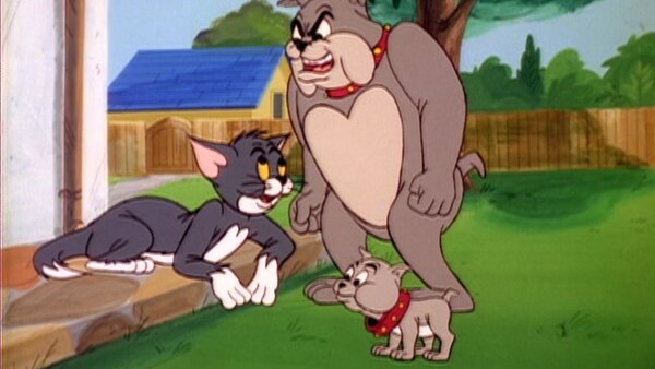 The Tom and Jerry Comedy Show - S01E06 - The Puppy Sitter