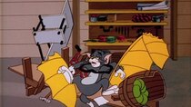 The Tom and Jerry Comedy Show - Episode 24 - Kitty Hawk Kitty