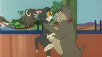 The Tom and Jerry Comedy Show - Episode 28 - No Museum Peace