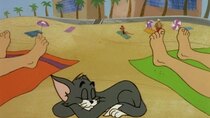 The Tom and Jerry Comedy Show - Episode 30 - Mouse Over Miami