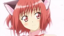 Tokyo Mew Mew New - Episode 7 - A Farewell in a Flurry of Petals