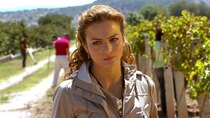 Timeless Love - Episode 71 - Impedir la boda