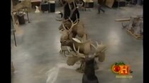 Modern Marvels - Episode 15 - Taxidermy