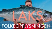 Folkeopplysningen - Episode 2 - Laks