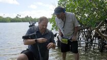 Expedition Unknown - Episode 10 - Chasing Everglades Treasure 