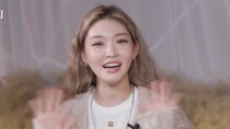 Street Alcohol Fighter - Episode 16 - EP.16 | Chungha's plagiarism controversy(?) has ended.