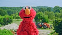 Sesame Street - Episode 24 - Sesame Street Goes to the Farm