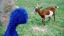 Sesame Street - Episode 25 - The Missing Goat Mystery