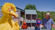 Sesame Street - Episode 28 - Chickens on the Farm