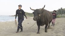 Hometown Stories - Episode 14 - Bullfights & Big Dreams