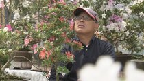 Hometown Stories - Episode 2 - Strength and Hope - The Power of Azaleas