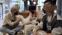 WayV - Episode 49 - [WayV-ariety] Visit The Animal Shelter | TEN X YANGYANG's Enjoy...