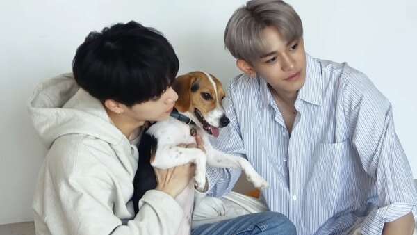 WayV - S2021E50 - [WayV-ehind] ‘Our Home : WayV with Little Friends’