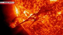 BOSAI: Science That Can Save Your Life - Episode 22 - Solar Flares