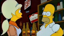 The Simpsons - Episode 20 - Colonel Homer
