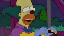 The Simpsons - Episode 15 - Homie the Clown