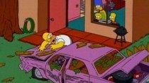 The Simpsons - Episode 11 - Wild Barts Can't Be Broken