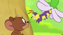 Tom and Jerry in New York - Episode 14 - Caterpillar and Mouse
