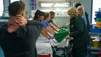 Casualty - Episode 12 - Thin Green Line