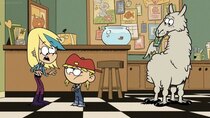 The Loud House - Episode 37 - Animal House