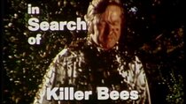 In Search of... - Episode 6 - Killer Bees