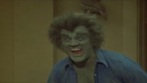 The Incredible Hulk - Episode 13 - The First (2)