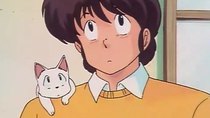 Maison Ikkoku - Episode 21 - Godai-kun Panic! Ikokku-kan's Kitten Tale!!