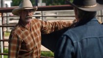 Heartland (CA) - Episode 3 - On the Ropes