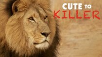 Animal Planet Documentaries - Episode 32 - Cute to Killer