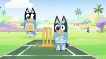 Bluey - Episode 47 - Cricket