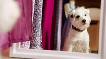 The Evermoor Chronicles - Episode 6 - Dogsbody