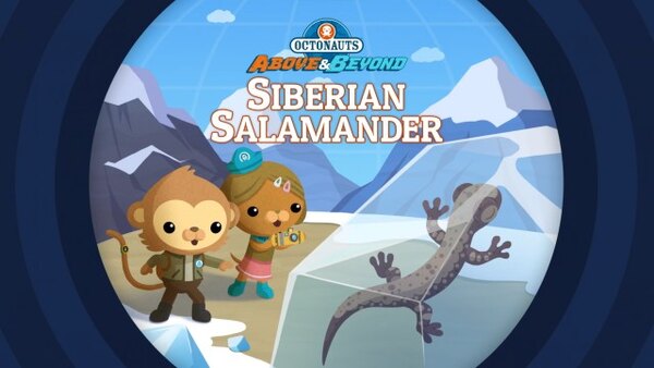 Octonauts: Above & Beyond - S01E05 - The Siberian Salamander