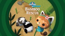 Octonauts: Above & Beyond - Episode 13 - The Bamboo Rescue