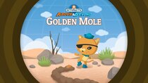 Octonauts: Above & Beyond - Episode 16 - The Golden Mole