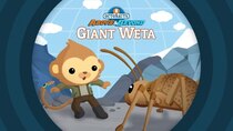 Octonauts: Above & Beyond - Episode 17 - The Giant Weta