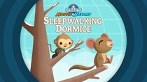 Octonauts: Above & Beyond - Episode 18 - The Sleepwalking Dormice