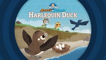 Octonauts: Above & Beyond - Episode 19 - The Harlequin Duck