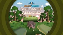 Octonauts: Above & Beyond - Episode 21 - The Nine-Banded Armadillo