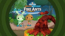 Octonauts: Above & Beyond - Episode 22 - The Fire Ants