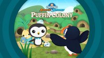 Octonauts: Above & Beyond - Episode 24 - The Puffin Colony