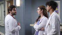 Grey's Anatomy - Episode 16 - Gunpowder and Lead